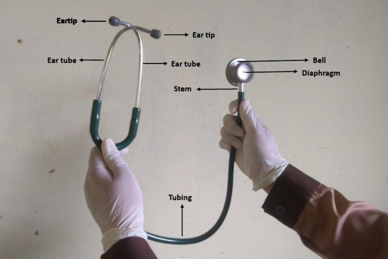 Ear Tip for Stethoscope Use | PDF