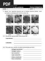 4 - À descoberta do ambiente natural [Modo de Compatibilidade]