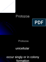 Biomedik2 Protozoa