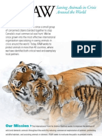 IFAW Program Tiger Pamphlet