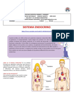 Taller 2 Sistema Endocrino 1