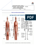 Taller 4 Sistema Locomotor y Prep. Lugar