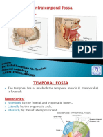 Temporal and Infratemporal Fossa