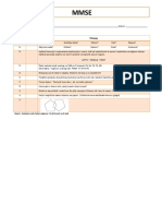 Mmse Mini - Mental State Examinations