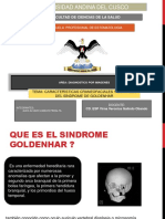 Sindromedegoldenhar 161017022624 PDF
