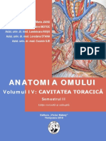 Anatomia 20iv 20torace PDF