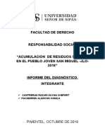 Ejemplo para Informe Diagnóstico Rsu.