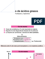 Sintesis de Acidos Grasoss y Trigliceridos PDF