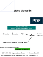 Lipidos Digestión y Sintesis de Acidos Grasos PDF
