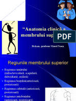 Membrul superior umar-antebrat.pdf