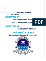 Essay on climate change.pdf