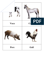 Vocabulari Animals