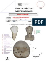 Informe de Cemento