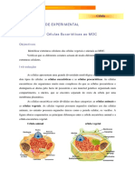 actvidade_exper_1_.professor.pdf