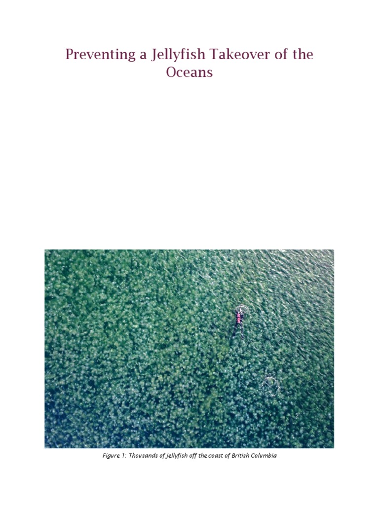 Preventing Jellyfish Ocean Overpopulation | PDF | Fish | Water