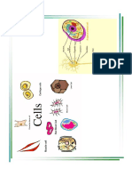 CELL Notas PDF