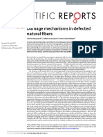 Damage mechanisms in defected natural fibers - Beaugrand2017