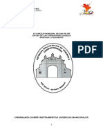 N° 58 Sobre Instrumentos Juridicos Municipales PDF