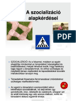 Szocializácio Alapk