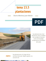 plantaciones en carreteras