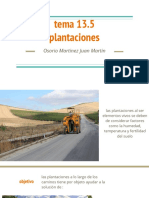 Plantaciones en Carreteras