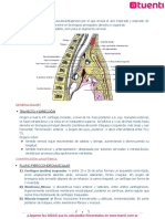 5 - Transporte e Intercambio de Gases Vitales