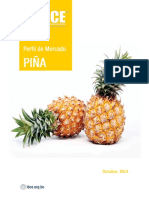 PIÑA Ibc PDF