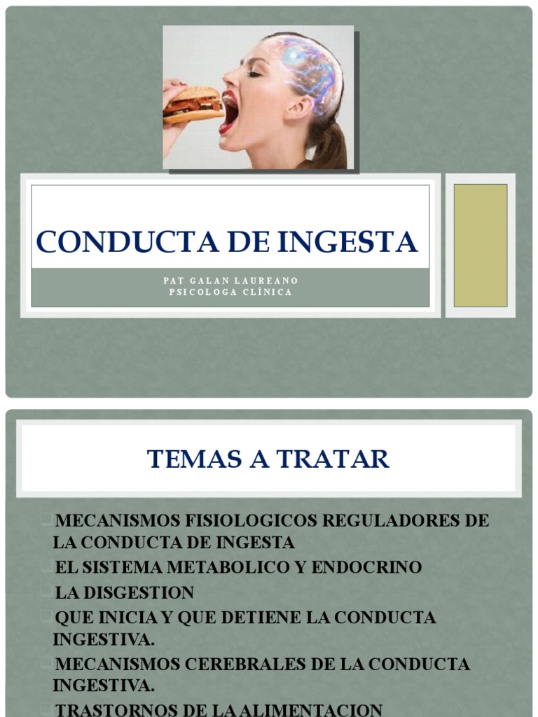 Conducta de Ingesta | PDF | Hipotálamo | Digestión