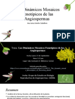 Los Dinámicos Mosaicos Fenotípicos de Las Angiospermas