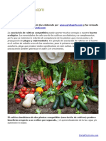 Asociación de Cultivos en El Huerto Listado de Compatibilidad Entre Plantas PDF