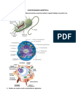 Cuestionario Genética