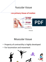 HH9 - MUSCLE TISSUE-notes