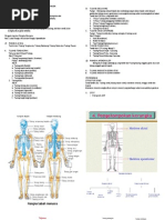 Download Sistem Gerak Pada Manusia by Runi Icha SN46616450 doc pdf