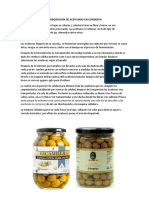 Elaboracion de Aceitunas en Conserva PDF