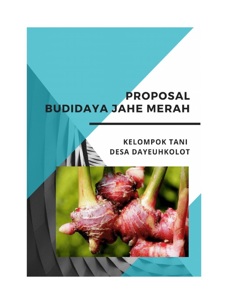 Proposal Jahe Merah