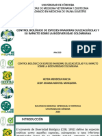 Diapositivas PDF