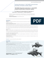 1312 Otro 2393 2 10 20190115 PDF