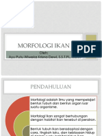 Morfologi Ikan PDF