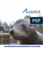 AMMPA SealionFactsheet Spanish Web PDF