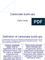 Carbonate Build Up