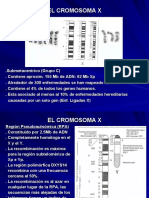 EL CROMOSOMA X