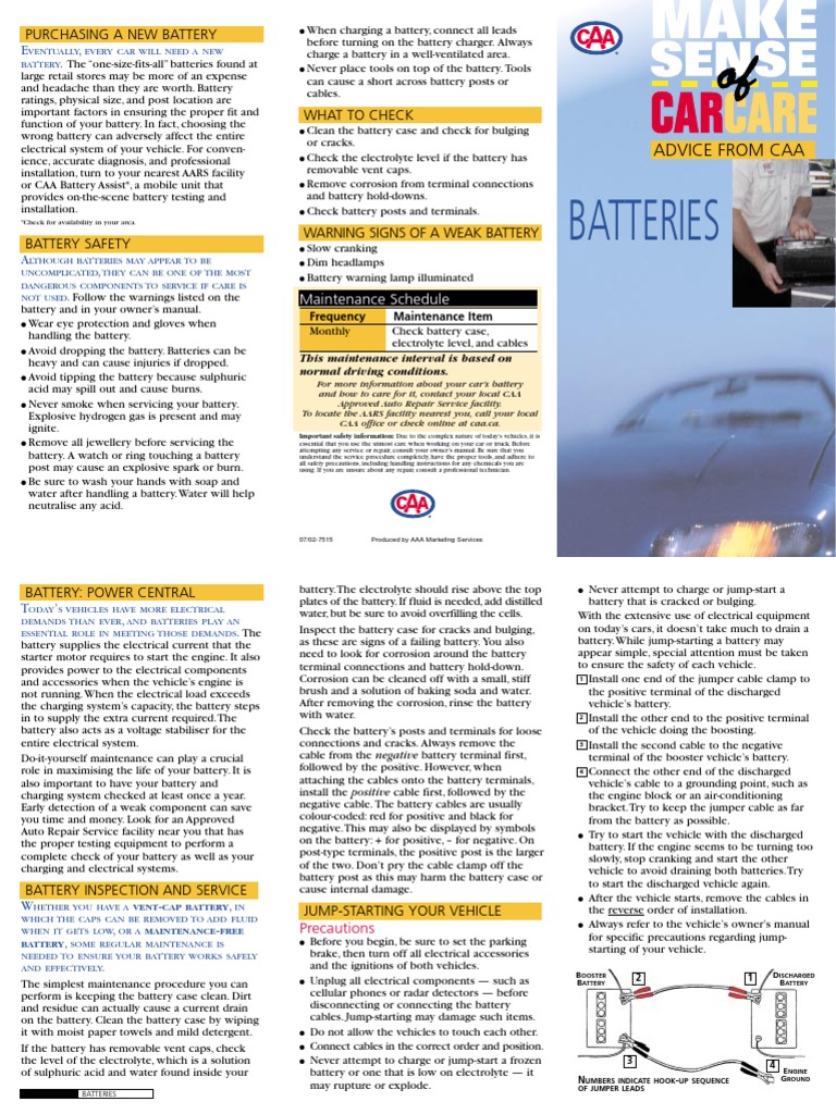 Batteries: Advice From Caa | PDF