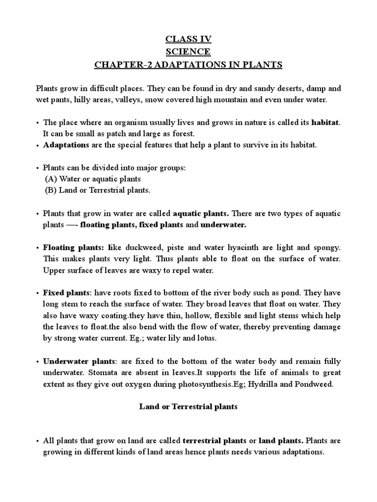 Adaptations in Plants for Class 4 | PDF
