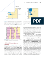 008 Protein Tertiary and Quaternary Structures PDF