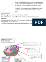 celula1.pptx