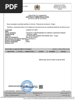 Demande de Modèle J au Maroc | PDF | Justice | Crime et violence