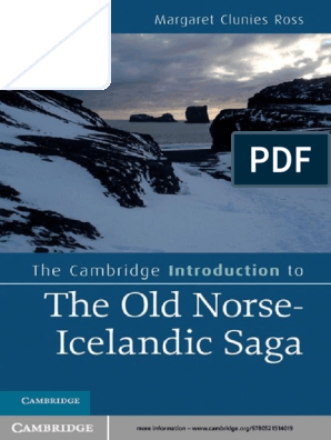  Bjorn Ironside: Viking Warrior eBook : Press, University:  Kindle Store