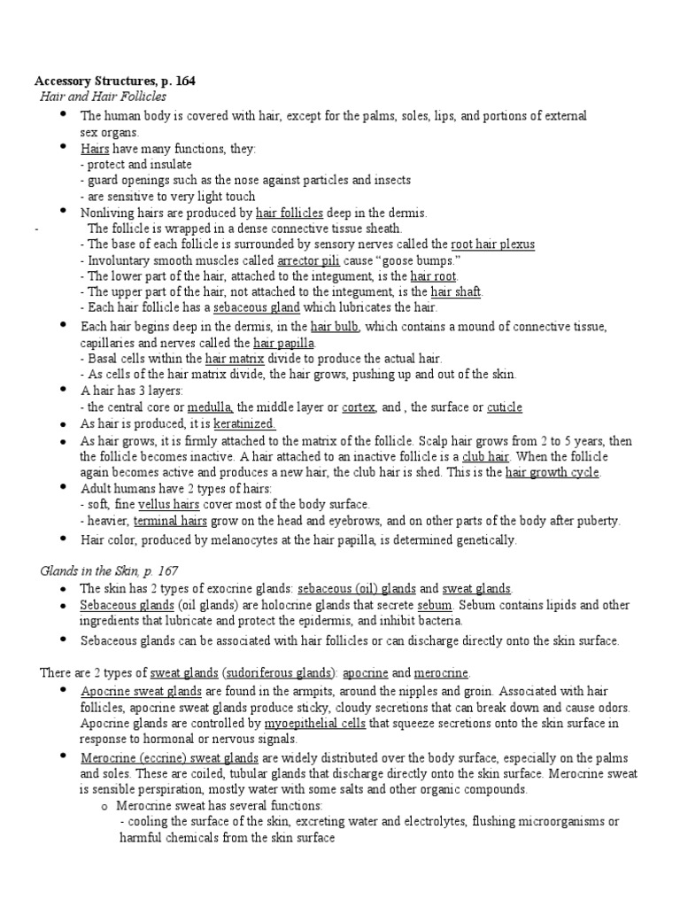 Accessory Structures (REVISED) PDF