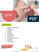 Gota - Expo Pato PDF