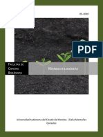 Monocotiledoneas PDF